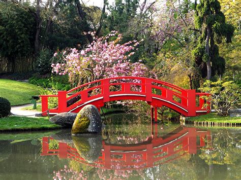 Jardin Japonais