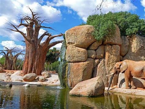 Bioparc Valencia